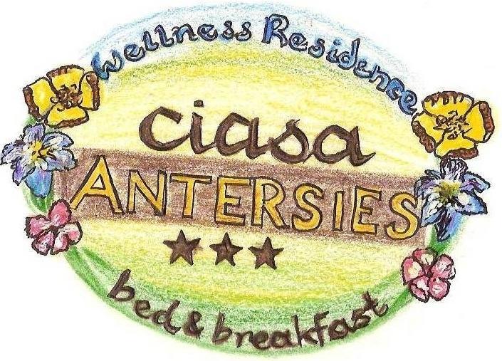 سان كاسيانو Family And Wellness Residence Ciasa Antersies المظهر الخارجي الصورة